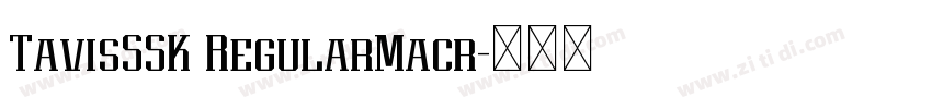 TavisSSK RegularMacr字体转换 TavisSSK RegularMacr字体转换